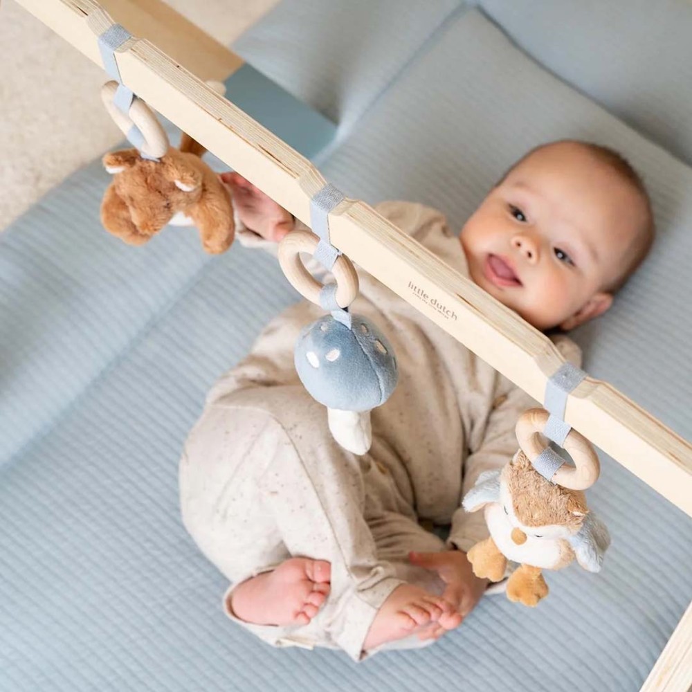 Sensory Play Gym with Plush Toys for Newborns - Little Dutch