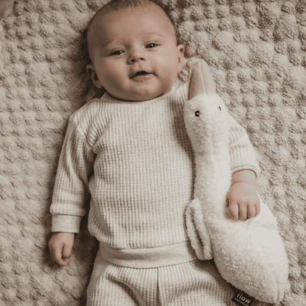 Peluche dispositivo rumori bianchi Oca Liva - Flow Amsterdam