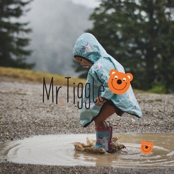 Mr Tiggle